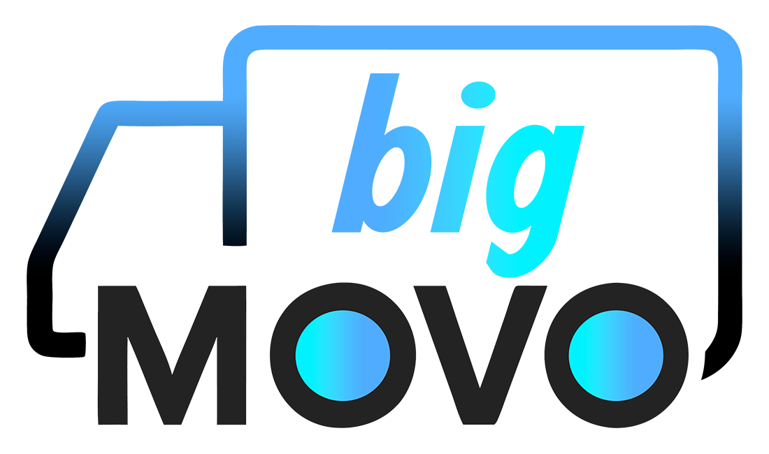 BigMovo Logo